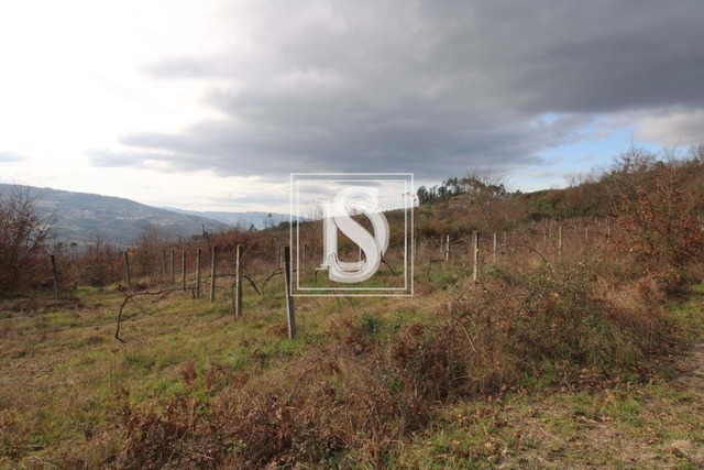 Terreno Rstico T0 - Salvador do Monte, Amarante, Porto - Imagem grande