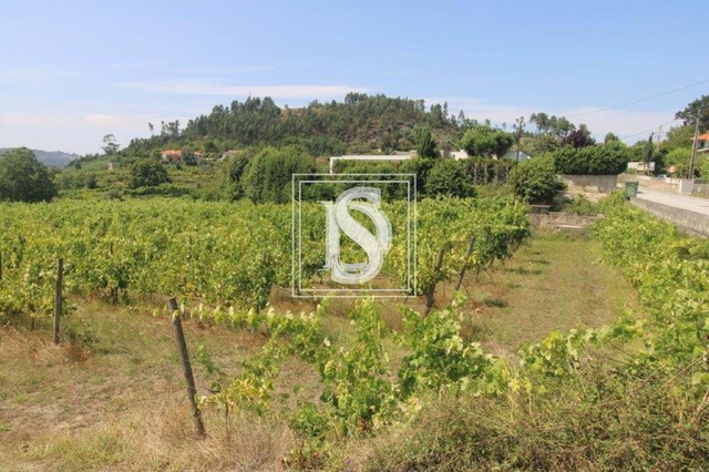 Terreno Rstico T0 - Salvador do Monte, Amarante, Porto - Imagem grande