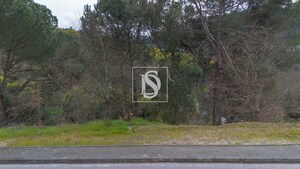 Terreno Rstico T0 - Amarante, Amarante, Porto - Miniatura: 6/10