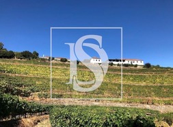 Quinta T5 - Sever, Santa Marta de Penaguio, Vila Real - Miniatura: 5/33