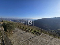 Quinta T5 - Sever, Santa Marta de Penaguio, Vila Real - Miniatura: 12/33