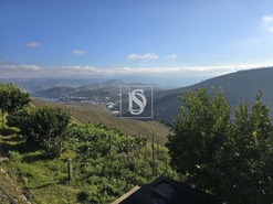 Quinta T5 - Sever, Santa Marta de Penaguio, Vila Real - Miniatura: 14/33