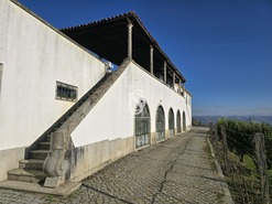 Quinta T5 - Sever, Santa Marta de Penaguio, Vila Real - Miniatura: 24/33