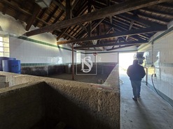 Quinta T5 - Sever, Santa Marta de Penaguio, Vila Real - Miniatura: 26/33