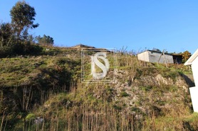 Terreno Rstico T0 - Amarante, Amarante, Porto - Miniatura: 7/24