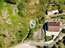 Terreno Rstico T0 - Amarante, Amarante, Porto - Miniatura: 18/24