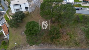 Terreno Rstico T0 - Amarante, Amarante, Porto - Miniatura: 13/15