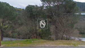 Terreno Rstico T0 - Amarante, Amarante, Porto - Miniatura: 15/15