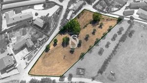 Terreno Rstico T0 - Fregim, Amarante, Porto - Miniatura: 1/7
