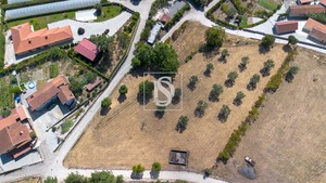 Terreno Rstico T0 - Fregim, Amarante, Porto - Miniatura: 4/7