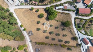 Terreno Rstico T0 - Fregim, Amarante, Porto - Miniatura: 7/7