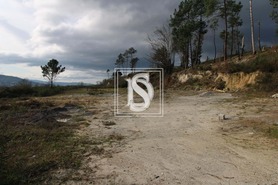 Terreno Rstico T0 - Salvador do Monte, Amarante, Porto - Miniatura: 3/15