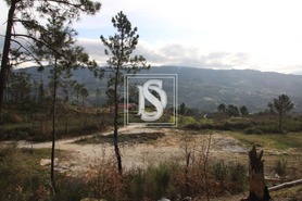 Terreno Rstico T0 - Salvador do Monte, Amarante, Porto - Miniatura: 10/15
