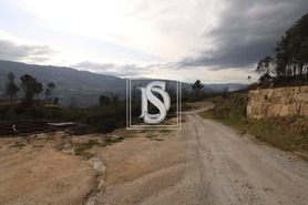 Terreno Rstico T0 - Salvador do Monte, Amarante, Porto - Miniatura: 11/15