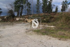 Terreno Rstico T0 - Salvador do Monte, Amarante, Porto - Miniatura: 14/15