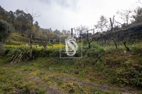 Moradia T0 - Bustelo, Amarante, Porto - Miniatura: 24/49