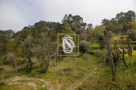 Moradia T0 - Bustelo, Amarante, Porto - Miniatura: 25/49