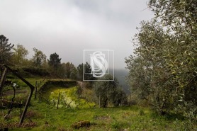 Moradia T0 - Bustelo, Amarante, Porto - Miniatura: 30/49