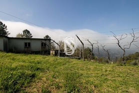 Moradia T0 - Bustelo, Amarante, Porto - Miniatura: 40/49