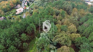 Terreno Urbano T0 - Lufrei, Amarante, Porto - Miniatura: 6/30