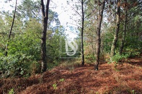 Terreno Urbano T0 - Lufrei, Amarante, Porto - Miniatura: 22/30