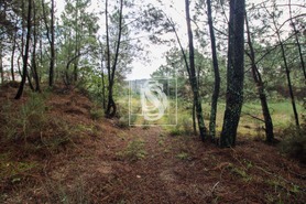 Terreno Urbano T0 - Lufrei, Amarante, Porto - Miniatura: 24/30