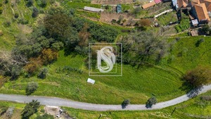 Terreno Rstico T0 - Ancede, Baio, Porto - Miniatura: 8/25