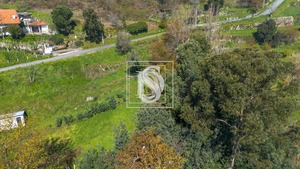 Terreno Rstico T0 - Ancede, Baio, Porto - Miniatura: 17/25