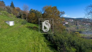 Terreno Rstico T0 - Ancede, Baio, Porto - Miniatura: 21/25
