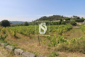 Terreno Rstico T0 - Salvador do Monte, Amarante, Porto - Miniatura: 2/9
