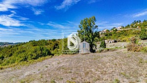 Terreno Rstico T0 - Frende, Baio, Porto - Miniatura: 9/36