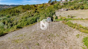 Terreno Rstico T0 - Frende, Baio, Porto - Miniatura: 10/36