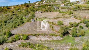 Terreno Rstico T0 - Frende, Baio, Porto - Miniatura: 11/36