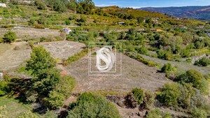 Terreno Rstico T0 - Frende, Baio, Porto - Miniatura: 26/36