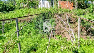 Moradia T3 - Vila Garcia, Amarante, Porto - Miniatura: 42/51