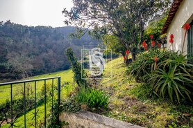 Moradia T3 - Teixeira, Bai�o, Porto - Miniatura: 24/34