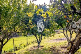 Moradia T3 - Teixeira, Bai�o, Porto - Miniatura: 30/34