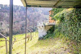 Moradia T3 - Teixeira, Bai�o, Porto - Miniatura: 31/34