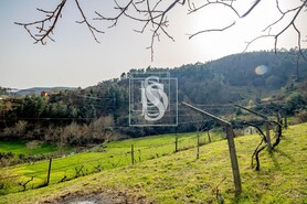 Moradia T3 - Teixeira, Bai�o, Porto - Miniatura: 33/34