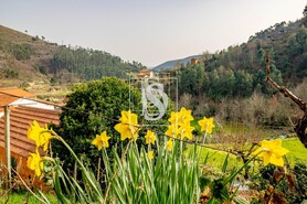 Moradia T3 - Teixeira, Bai�o, Porto - Miniatura: 34/34