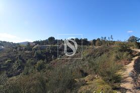 Terreno R�stico - Fregim, Amarante, Porto - Miniatura: 7/23