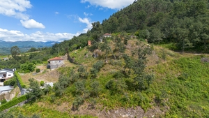 Terreno R�stico - JAZENTE, Amarante, Porto - Miniatura: 6/21