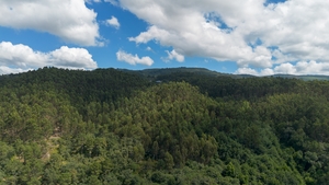 Terreno R�stico - JAZENTE, Amarante, Porto - Miniatura: 7/21