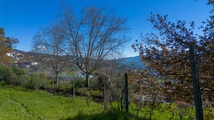 Terreno R�stico - Ancede, Bai�o, Porto - Miniatura: 22/25