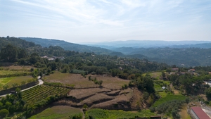 Terreno R�stico - Gouveia (S�o Sim�o), Amarante, Porto - Miniatura: 1/24