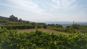 Terreno R�stico - Gouveia (S�o Sim�o), Amarante, Porto - Miniatura: 8/24