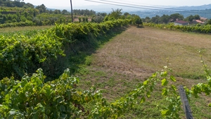 Terreno R�stico - Gouveia (S�o Sim�o), Amarante, Porto - Miniatura: 16/24