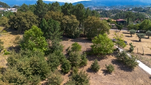 Terreno R�stico - Fregim, Amarante, Porto - Miniatura: 6/7