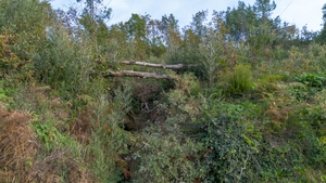 Terreno R�stico - Ansi�es, Amarante, Porto - Miniatura: 5/9