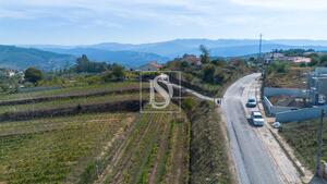 Terreno R�stico - Vila Garcia, Amarante, Porto - Miniatura: 4/11